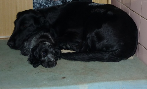 Berry 5.6.2010 (10).jpg